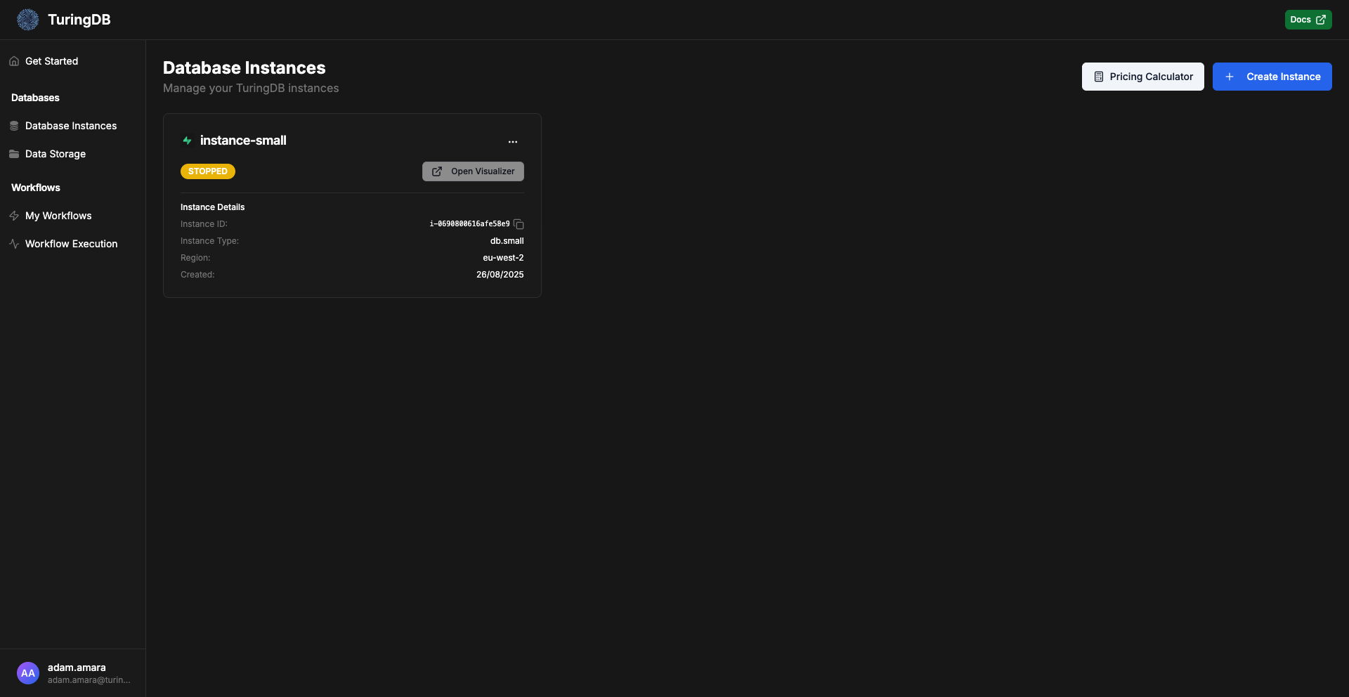 TuringDB Managed Console - Database Instances Dashboard
