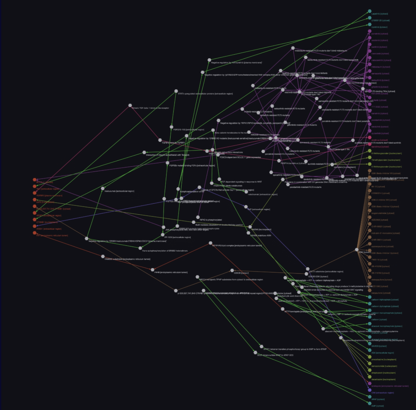 Complex network graph showing mechanisms of action and synergetic effects in immune circuits for Squamous Cell Carcinoma