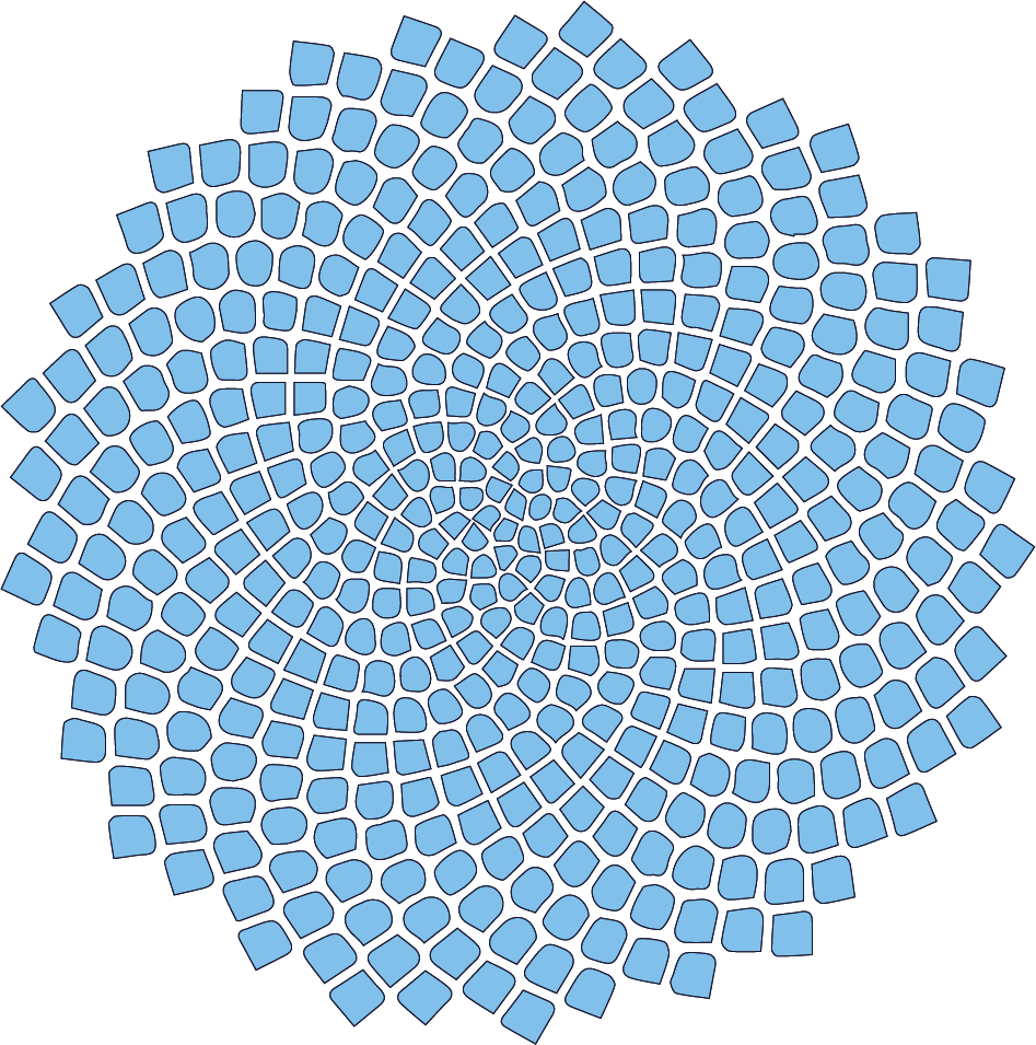 Sunflower seed pattern inspired by Alan Turing's morphogenesis work